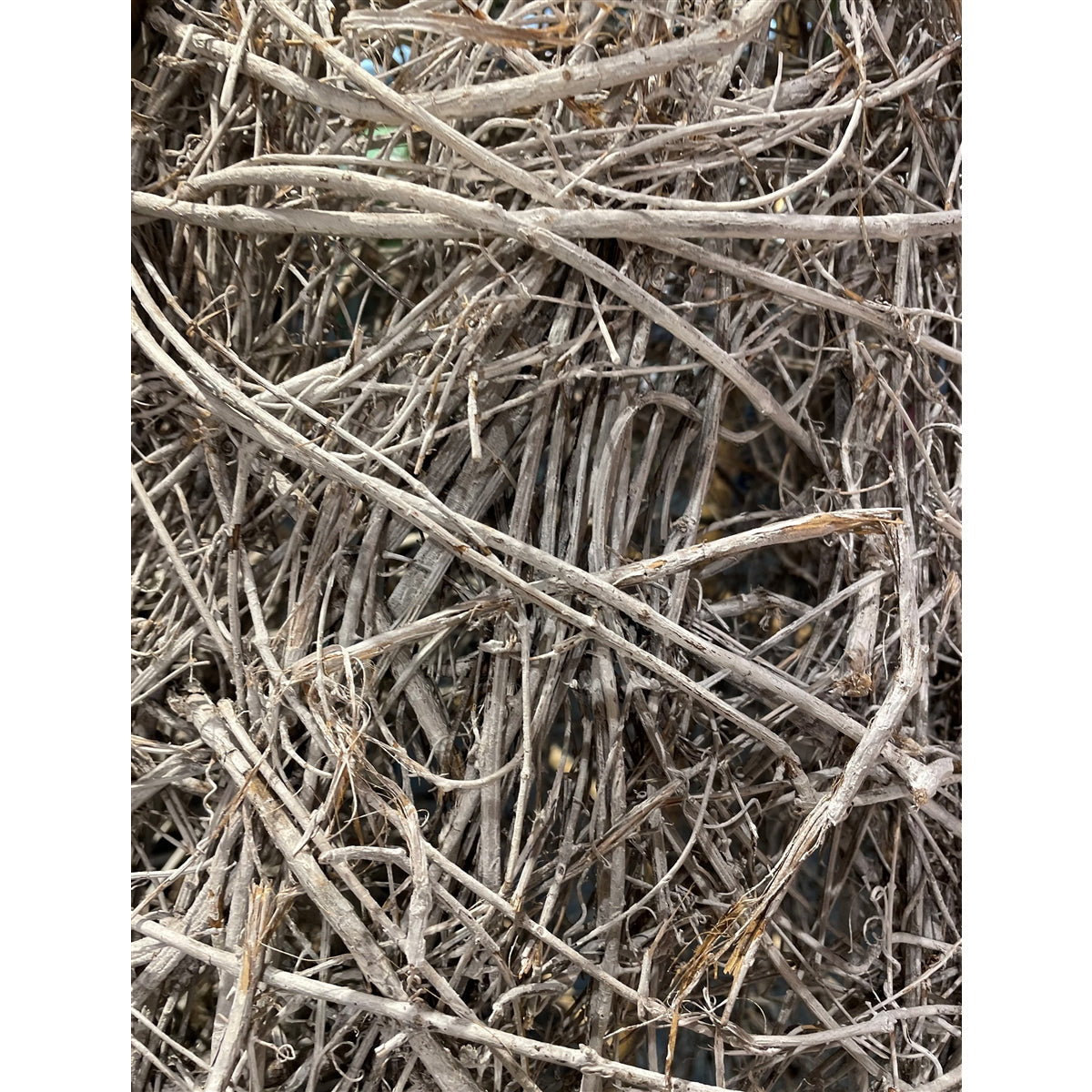 White-Washed Giant Twig Topiaries Set (3) - Unique Christmas Decor