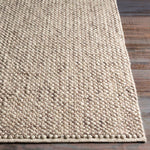 tan area rug no pile transitional