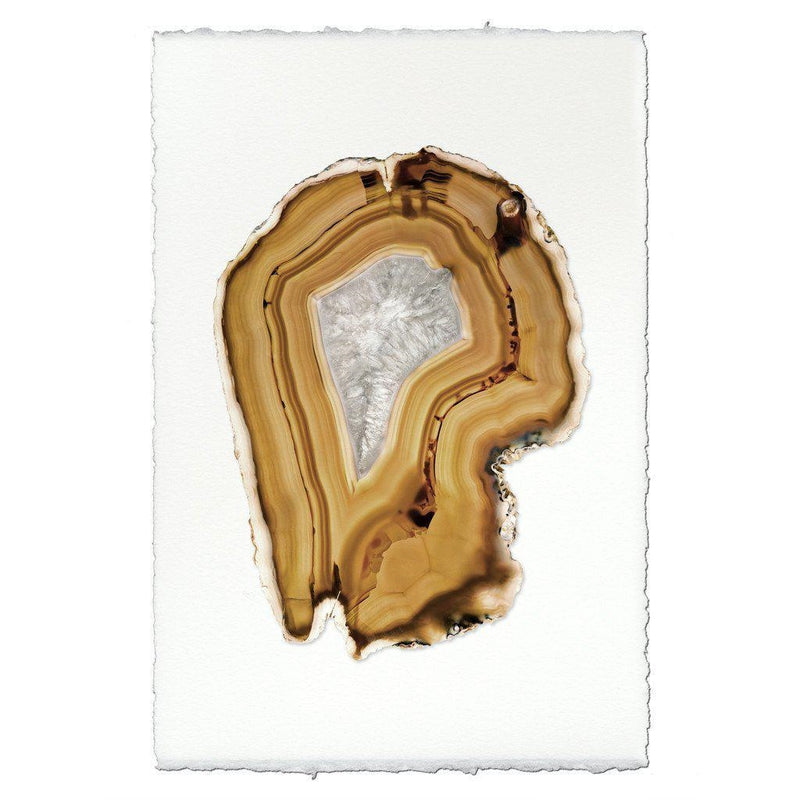 amber agate brown gem photography print
