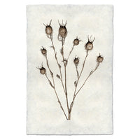 photography bulb plant handmade paper