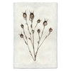 photography bulb plant handmade paper