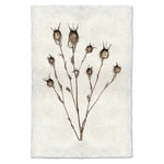 photography bulb plant handmade paper