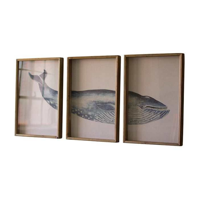 triptych framed humpback whale wall art