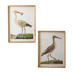coastal shore birds wall art bamboo frame