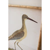 coastal shore birds wall art bamboo frame