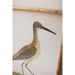 coastal shore birds wall art bamboo frame
