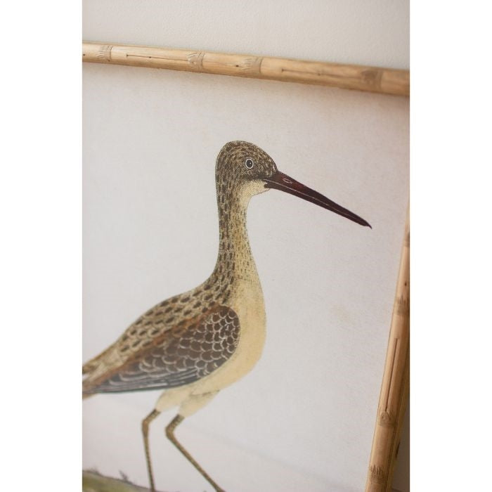 coastal shore birds wall art bamboo frame