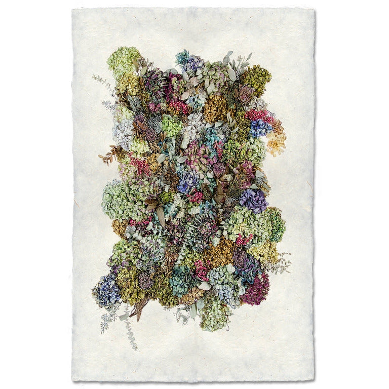 art print multi color hydrangeas paper