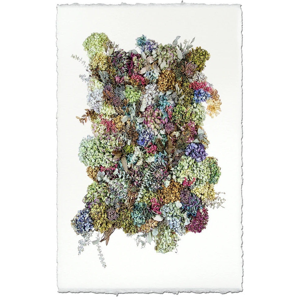 art print multi color hydrangeas paper