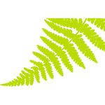 green white fern disposable placemats pad