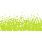 plat du jour grass green white disposable placemat pad 50 sheets paper soy-based ink entertaining recycled