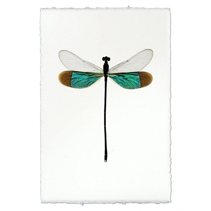 photography handmade paper damsel turquoise wall art