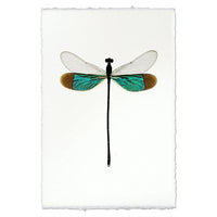 photography handmade paper damsel turquoise wall art