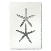 photography art handmade paper starfish two black and white