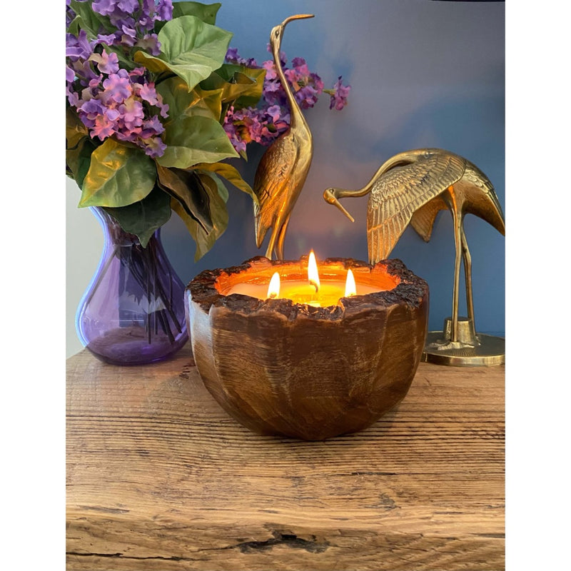 wood brown candle round tree bark