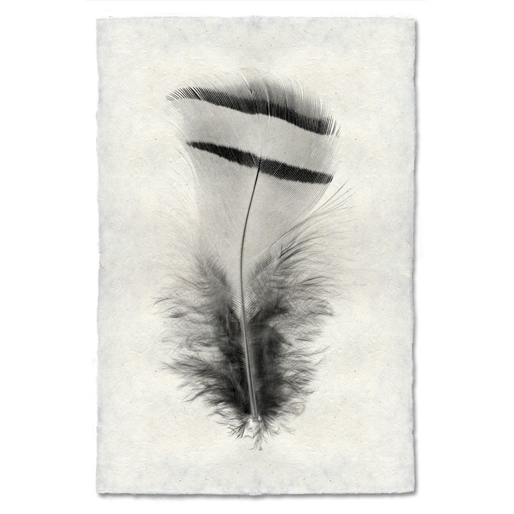 black white feather handmade paper