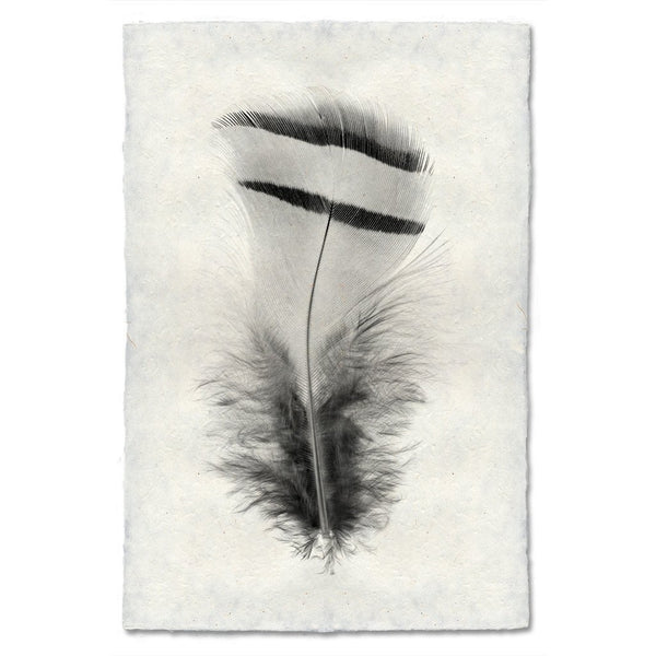 black white feather handmade paper