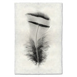 black white feather handmade paper