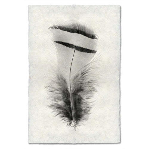 black white feather handmade paper