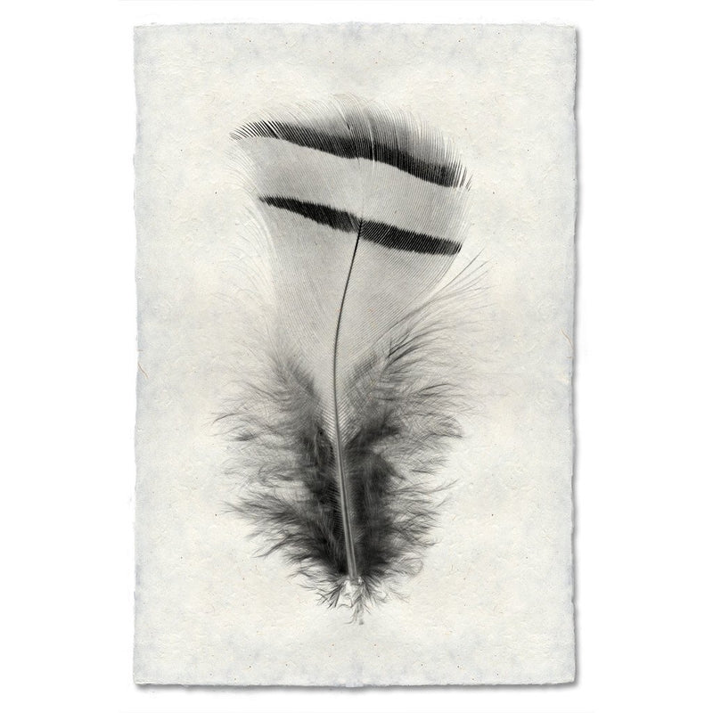 black white feather handmade paper