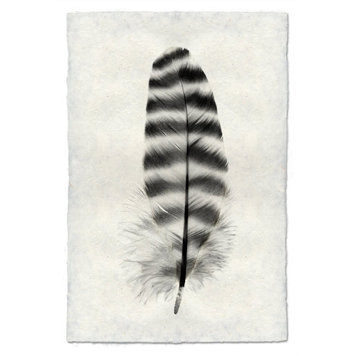 black white feather stripes handmade paper