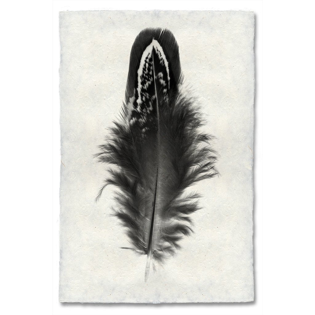 black white feather handmade paper