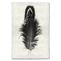 black white feather handmade paper
