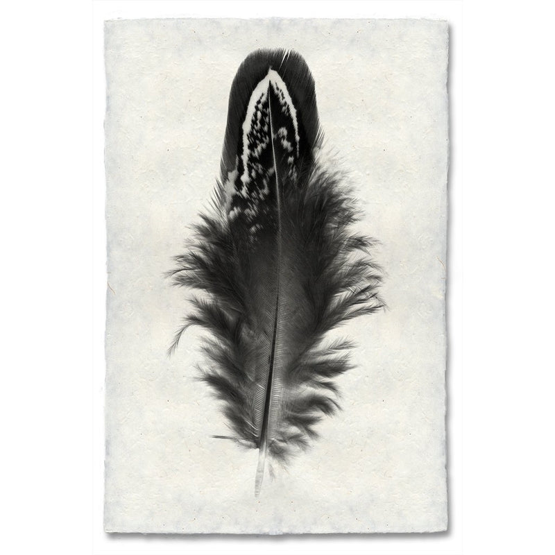 black white feather handmade paper