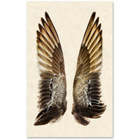 oversized duck wings photography art framed brown