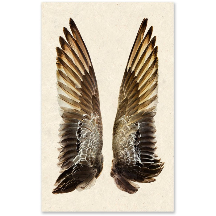 oversized duck wings photography art framed brown