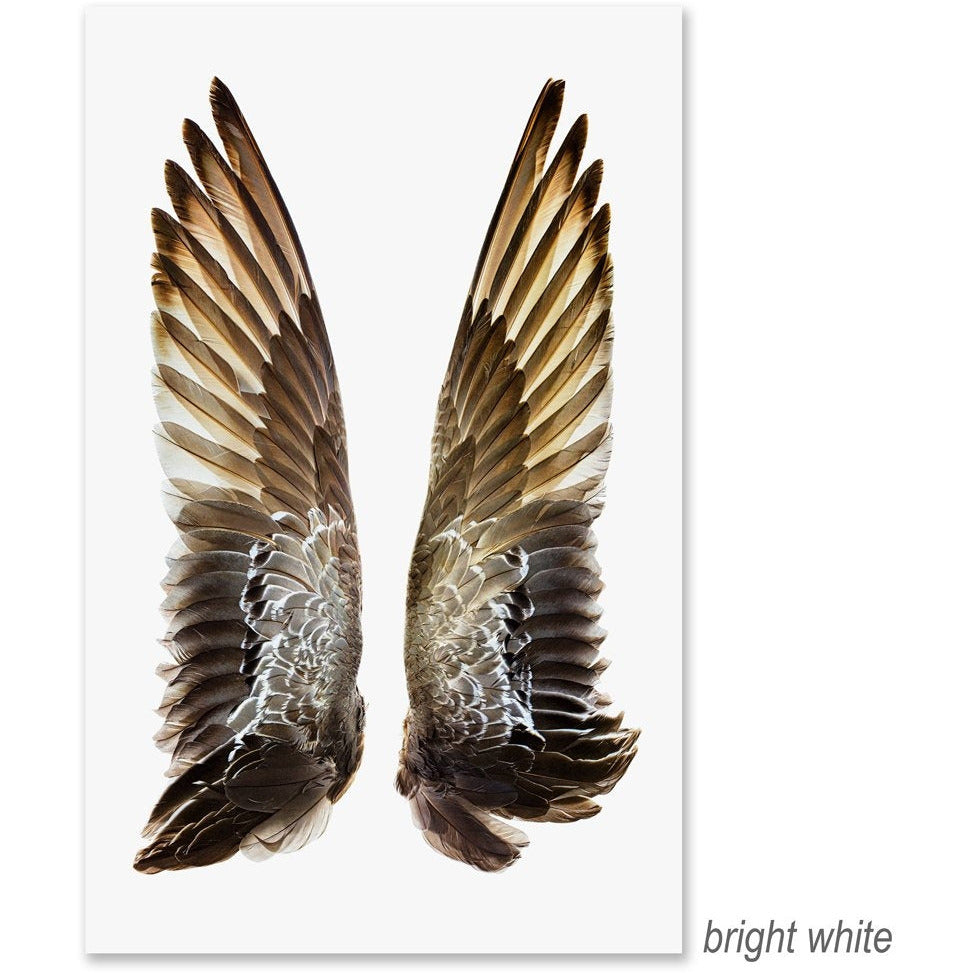 oversized duck wings photography art framed brown