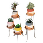 Set of 5 Color-Dipped Clay Pots  Stands