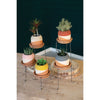 Set of 5 Color-Dipped Clay Pots  Stands