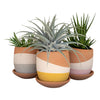 Set 3 Color-Dipped Clay Pots Saucers