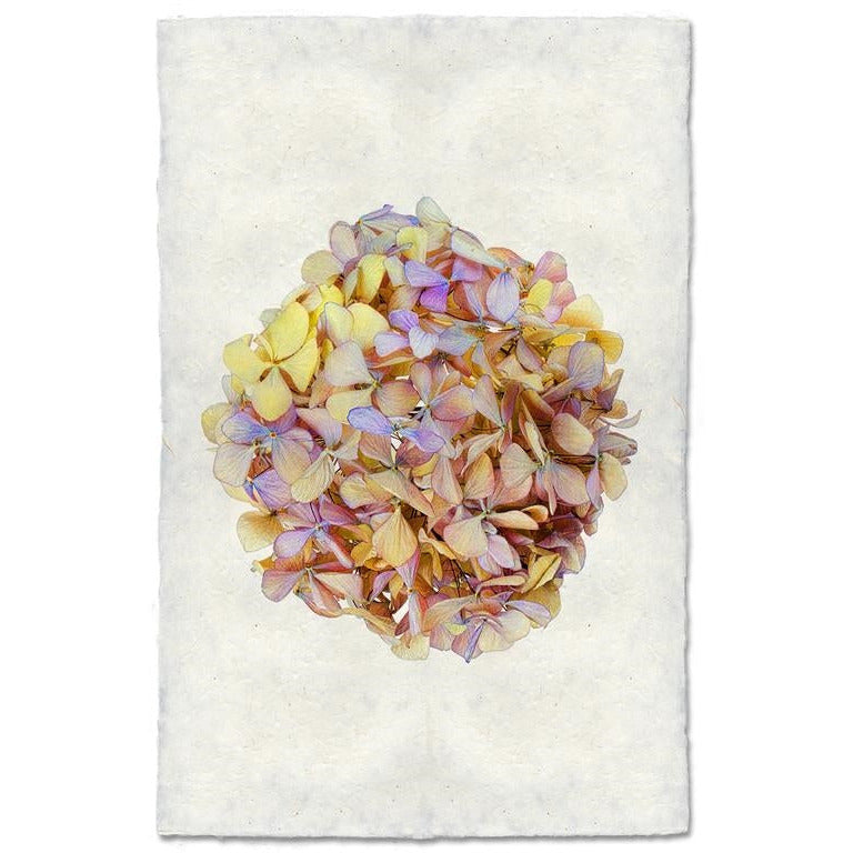 photography handmade paper pink yellow hydrangea plant