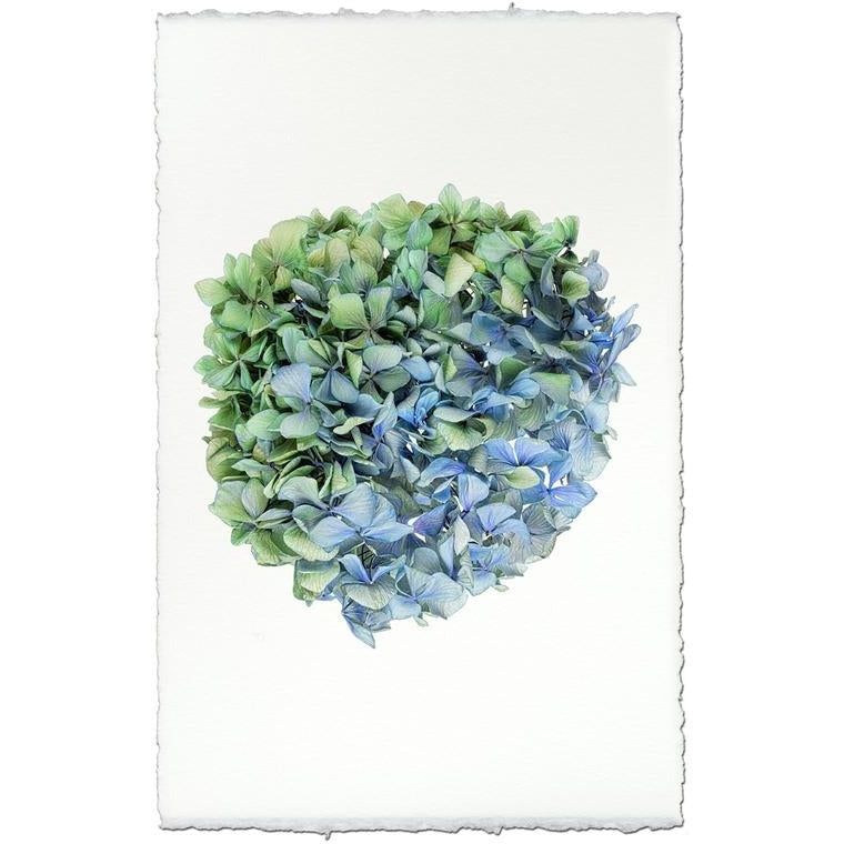 photography handmade paper blue green hydrangea plant