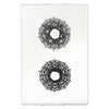 Designer Imperial Urchin - USA Made Professional Sea Life Photography | BSEID