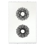Designer Imperial Urchin - USA Made Professional Sea Life Photography | BSEID