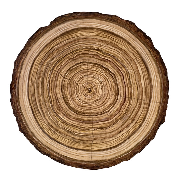 paper placemats sheets disposable wood slice log tree trunk outdoors charger
