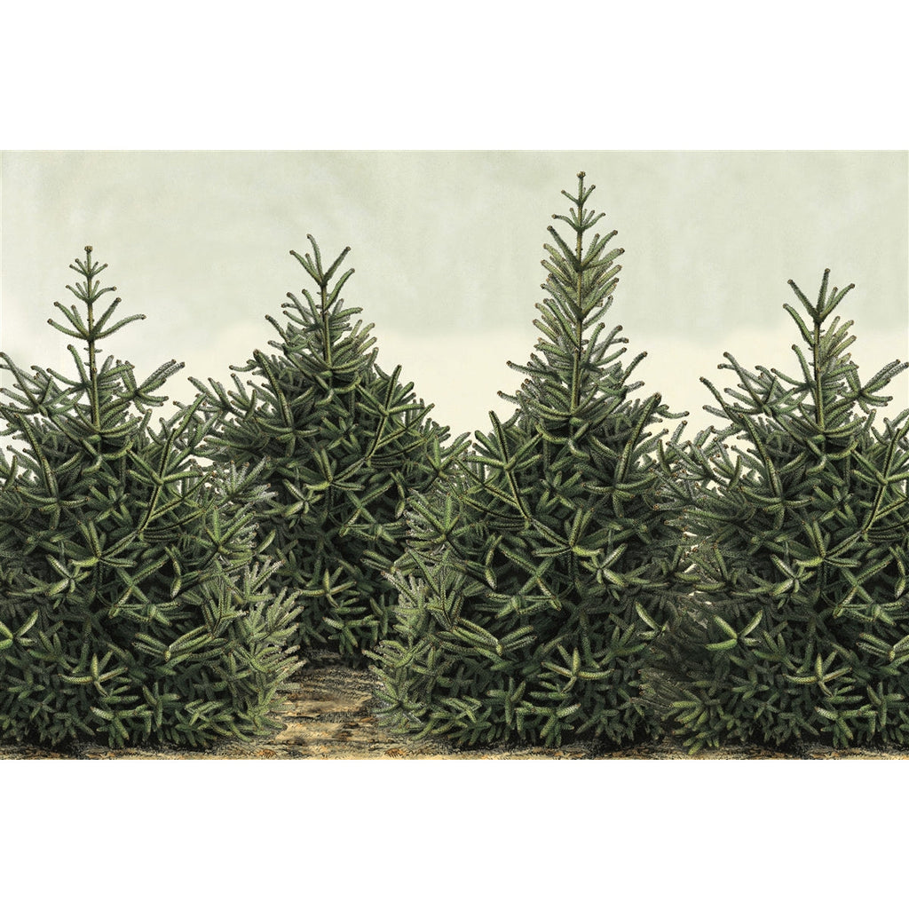 Fir Tree Placemats (30) for Christmas & Holidays - Winter Table Decor