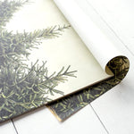 Fir Tree Placemats (30) for Christmas & Holidays - Winter Table Decor