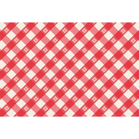 paper placemat pad red blue check