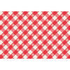 paper placemat pad red blue check