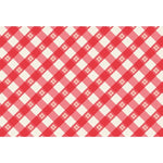 paper placemat pad red blue check