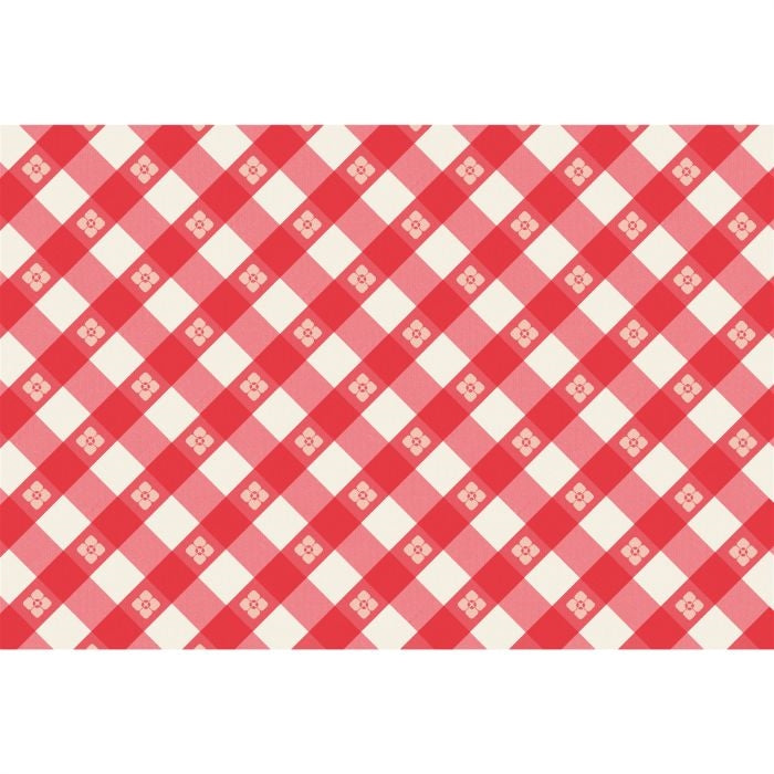 paper placemat pad red blue check