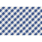 paper placemat pad red blue check