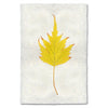 photography handmade paper birch leaf nature wall art
