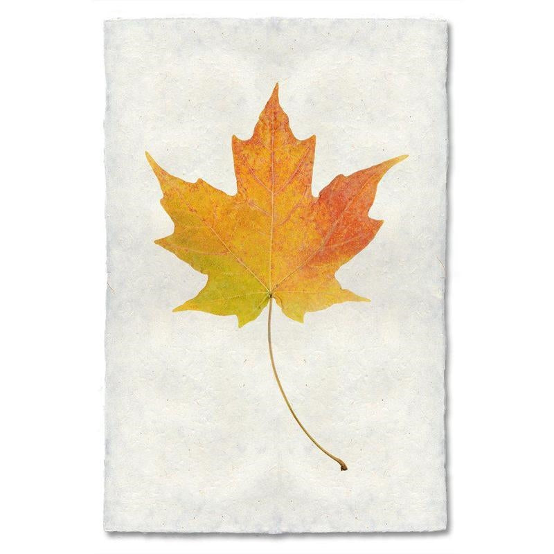 photography handmade paper maple leaf nature wall art