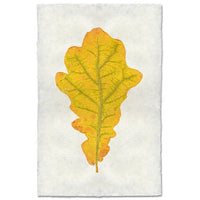 photography handmade paper oak leaf nature wall art