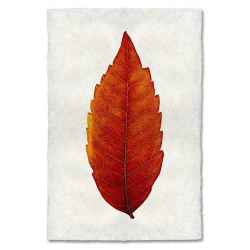 photography handmade paper sumac leaf nature wall art